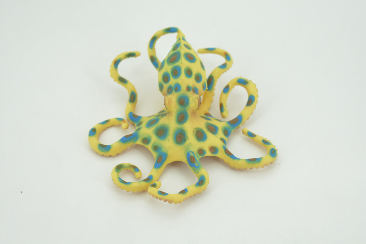 Octopus, Blue-ringed octopuses, Octopodes, Octopoda,Museum Quality, Hand Painted, Hard Rubber, Realistic, Model, Replica, Kids, Educational, Gift,   4 1/2"  CH289  BB179