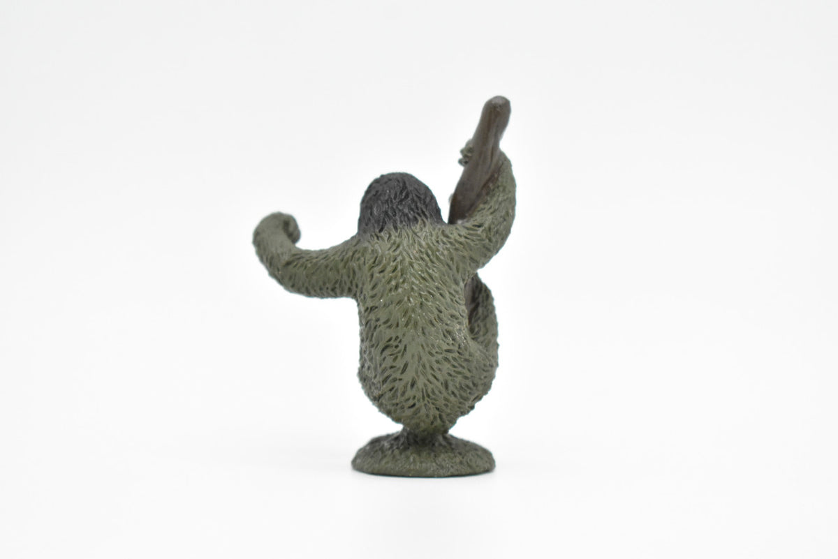Sloth, Folivora, three-toed sloths, (Bradypodidae), Very Nice Plastic Animal, Hand Painted, Educational, Figure, Lifelike, Diorama Model, Replica, Toy, Kids, Gift,   2 Inches Tall.     CWG124 B238