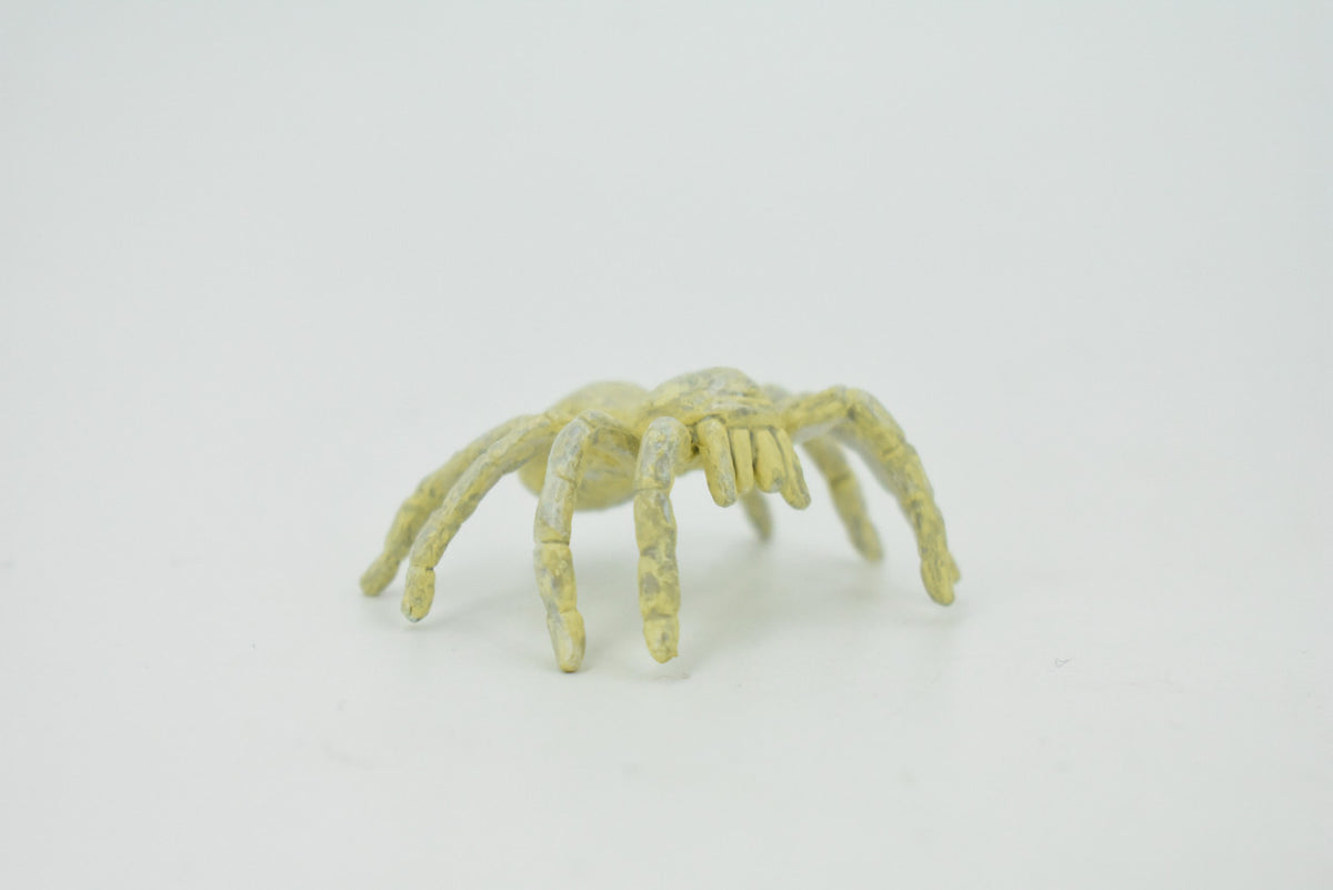 Spider, Cave, Plastic Toy Animal, Kids Gift, Realistic Figure, Educational Model, Replica, Gift,     2"     F770-B625