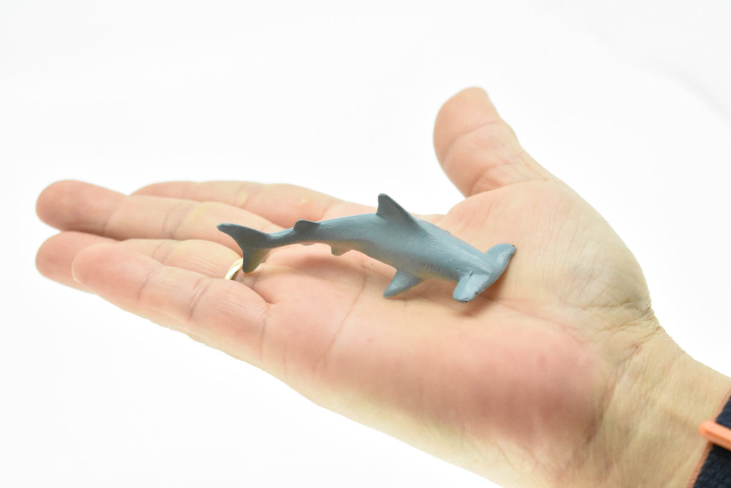 Hammerhead Shark, Curved, Very Nice Plastic Replica   3"   ~   F0010-B23
