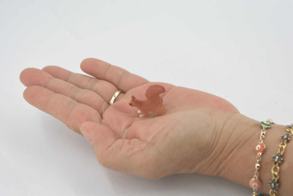 Squirrel, Red, American, High Quality, Hand Painted, Rubber, Rodent, Realistic, Figure, Model, Replica, Toy, Kids, Educational, Gift,   2"      CH655 BB169