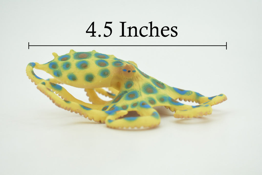 Octopus, Blue-ringed octopuses, Octopodes, Octopoda,Museum Quality, Hand Painted, Hard Rubber, Realistic, Model, Replica, Kids, Educational, Gift,   4 1/2"  CH289  BB179