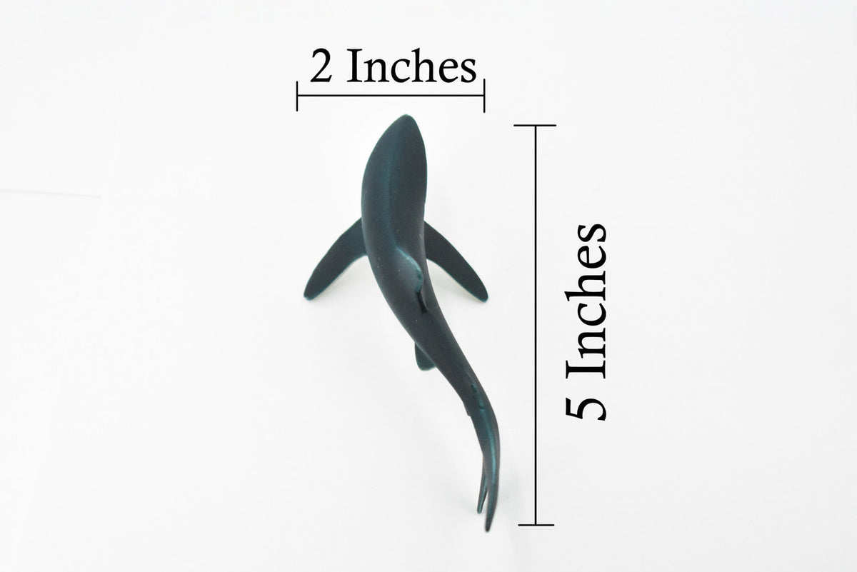 Blue Shark, Blue pointer, Museum Quality, Hand Painted, Educational, Rubber Fish, Diorama Model, Replica, Realistic Toy Figure, Kids,  5 Inches. 
