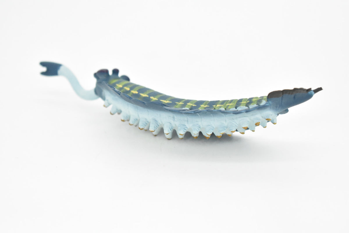 Opabinia, Prehistoric, Fossil, Museum Quality, Rubber Arthropods, Hand Painted, Realistic Toy Figure, Diorama Model, Kids, Educational,  7 Inches.