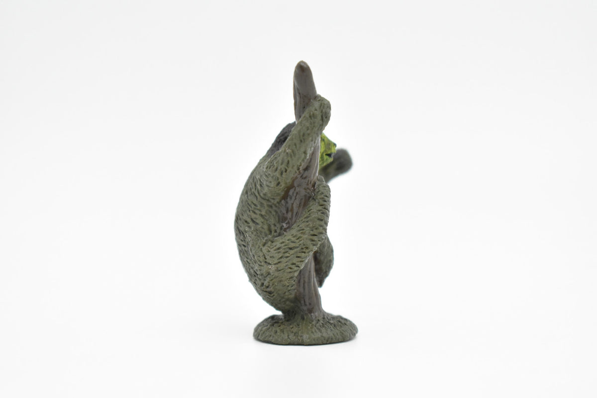 Sloth, Folivora, three-toed sloths, (Bradypodidae), Very Nice Plastic Animal, Hand Painted, Educational, Figure, Lifelike, Diorama Model, Replica, Toy, Kids, Gift,   2 Inches Tall.     CWG124 B238
