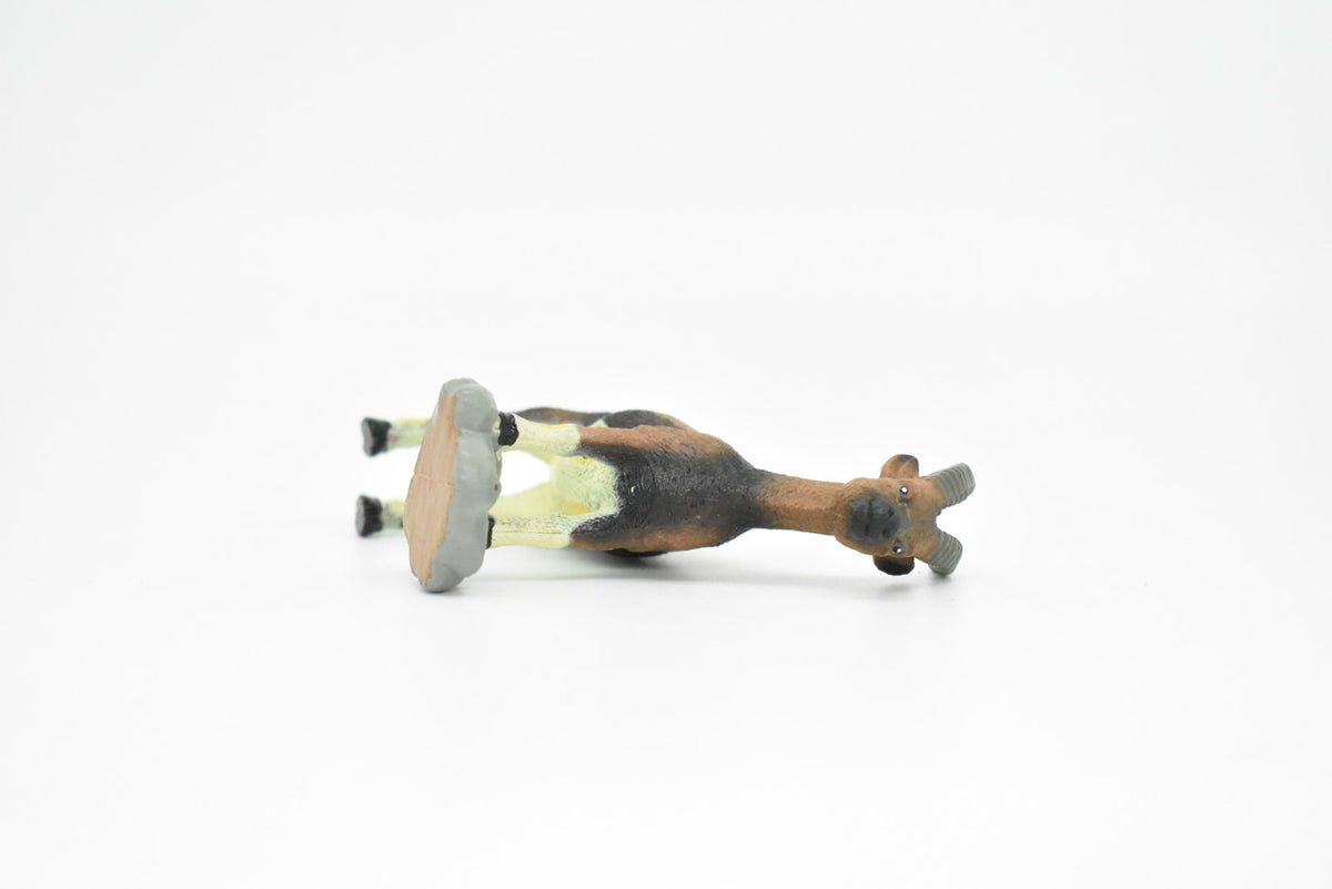 Goat, Feral, Hand Painted, Realistic Plastic Animal Design, Educational, Figure, Lifelike, Diorama Model, Figurine, Replica, Toy, Gift,    4 Inches.     CWG173 BB41