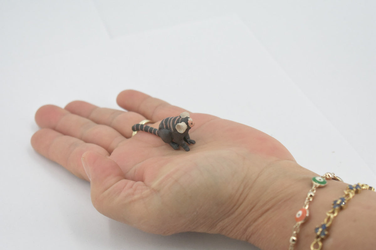 Monkey, Marmoset, Zaris, Sagoin, Primates, High Quality, Hand Painted, Rubber, Realistic, Figure, Model, Replica, Toy, Kids, Educational, Gift,    2"      CH650 BB169