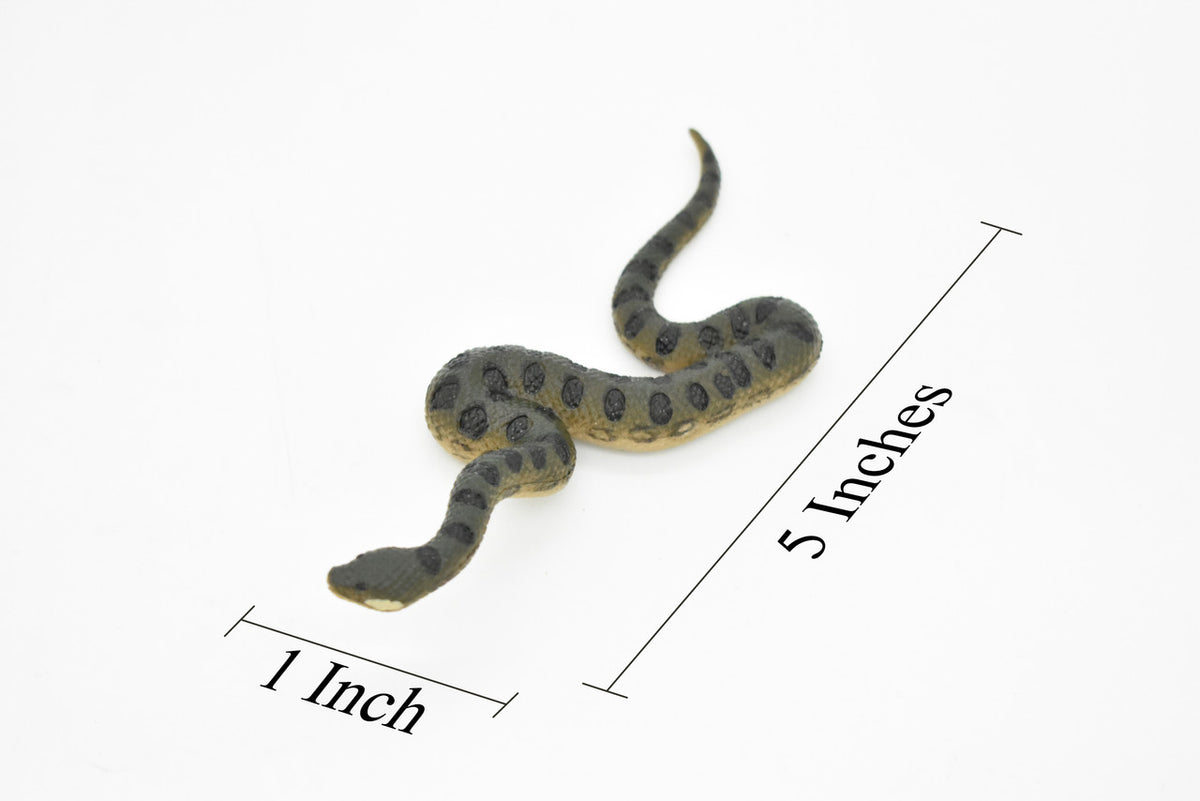 Anaconda Toy, Green, Snake, Very Realistic Rubber Figure, Model, Educational, Animal, Hand Painted Figurines,  5"    CH044 BB76