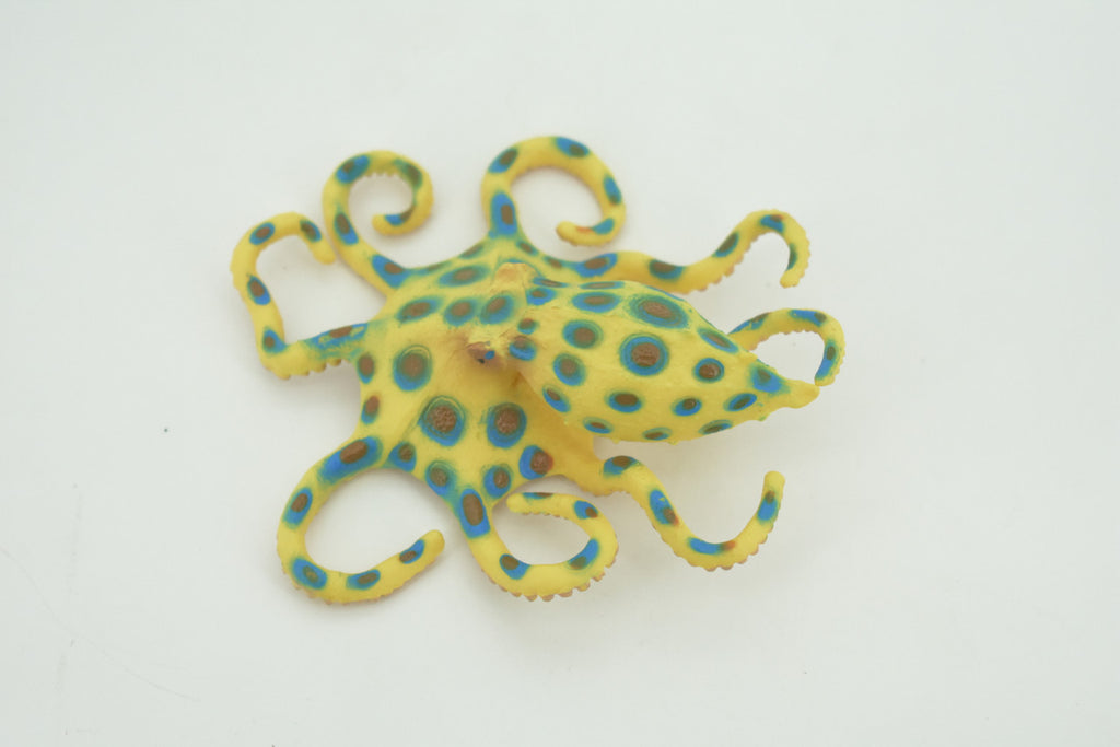 Octopus, Blue-ringed octopuses, Octopodes, Octopoda,Museum Quality, Hand Painted, Hard Rubber, Realistic, Model, Replica, Kids, Educational, Gift,   4 1/2"  CH289  BB179