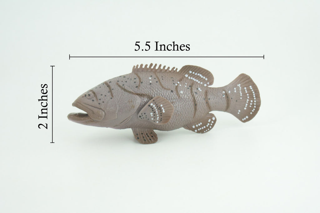 Grouper, Giant, Hand Painted, Educational, Museum Quality, Realistic, Rubber, Saltwater Fish, Diorama, Figure, Toys, Kids, Gift, 5 1/2 Inches. CH911 BB203