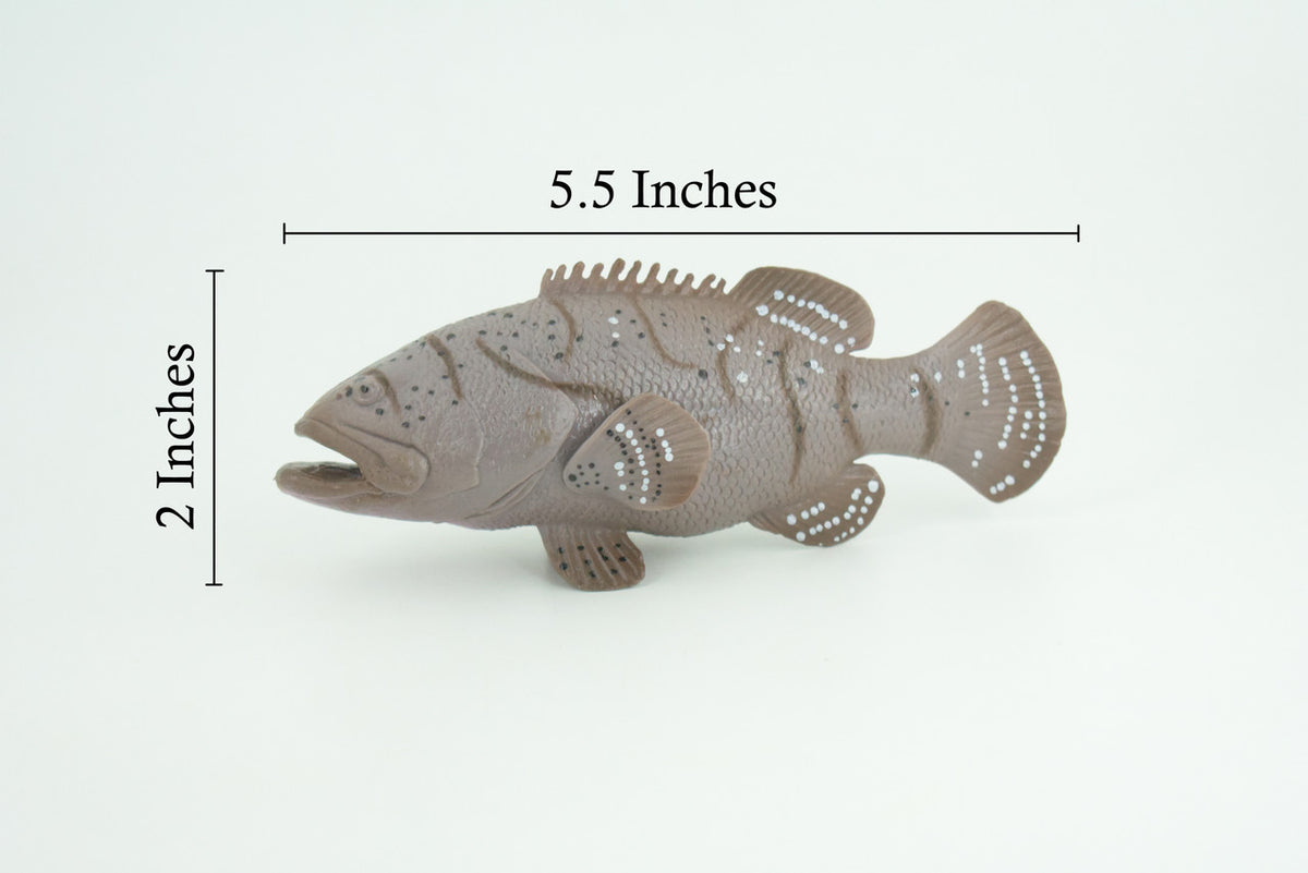 Grouper, Giant, Hand Painted, Educational, Museum Quality, Realistic, Rubber, Saltwater Fish, Diorama, Figure, Toys, Kids, Gift, 5 1/2 Inches. CH911 BB203