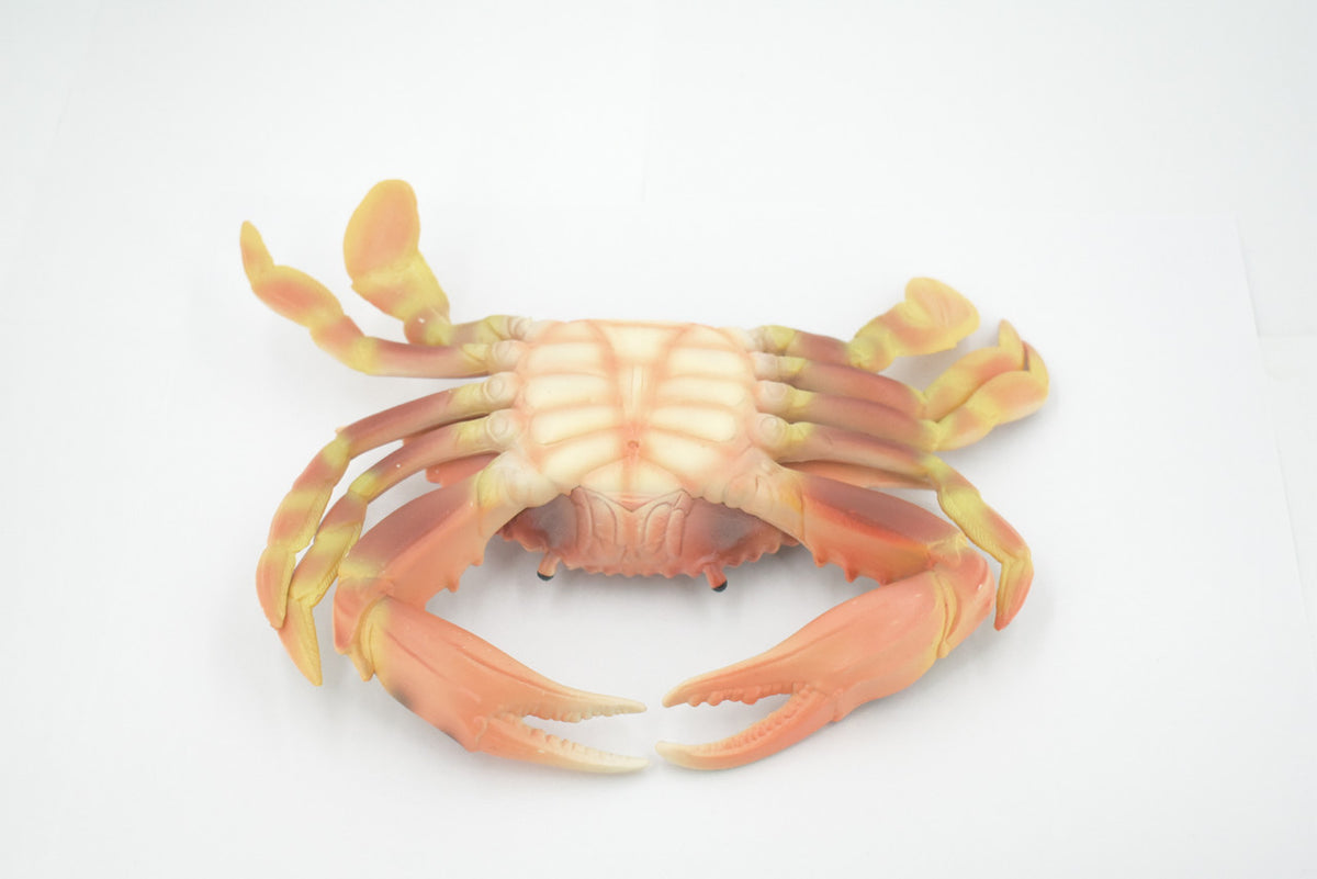 Crab, Swimming, Spotted, Museum Quality, Hand Painted, Rubber Crustacean, Realistic Figure, Model, Replica, Toy, Kids, Educational, Gift,      9"   CH500 BB155