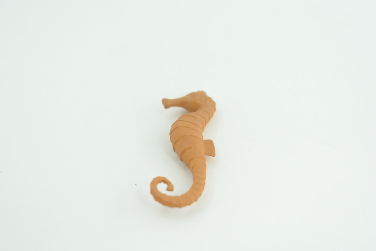 Seahorse, Marine Fish, Ocean, Syngnathidae family, Hippocampus, Educational, Realistic, Diorama, Models, Replica, Toys, Kids, Gift,   2 1/2  Inches.    CWG57 B197