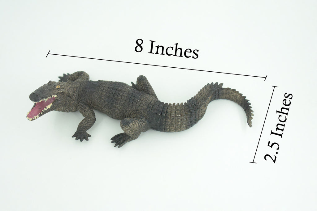 Alligator, American, Hand Painted, Museum Quality, Solid Rubber Crocodile, Reptile, Educational, Realistic, Figure, Toy, Kids, Replica, Gift, 8 Inches. CH965 BB210