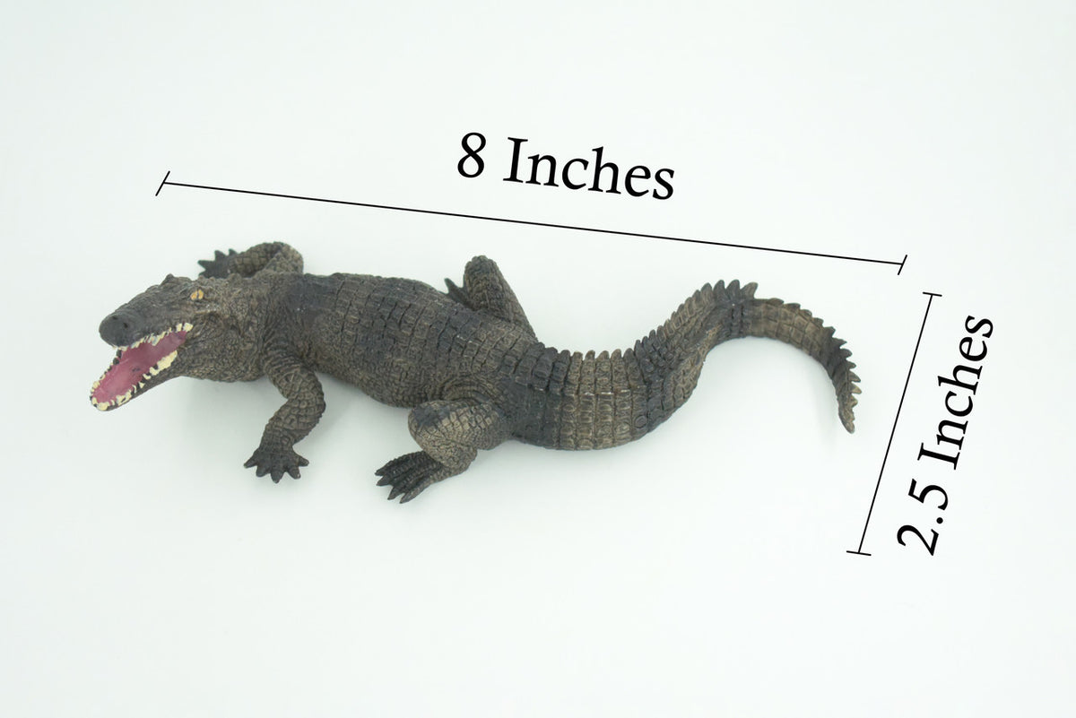 Alligator, American, Hand Painted, Museum Quality, Solid Rubber Crocodile, Reptile, Educational, Realistic, Figure, Toy, Kids, Replica, Gift, 8 Inches. CH965 BB210