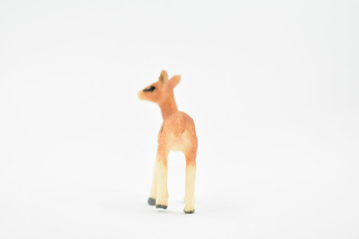 Gazelle, Baby, Fawn, African Antelope, Very Nice Rubber Design, Hand Painted, Realistic, Educational, Diorama Model, Replica, Toy, Kids, Gift,    2 Inches.     CH455 BB114