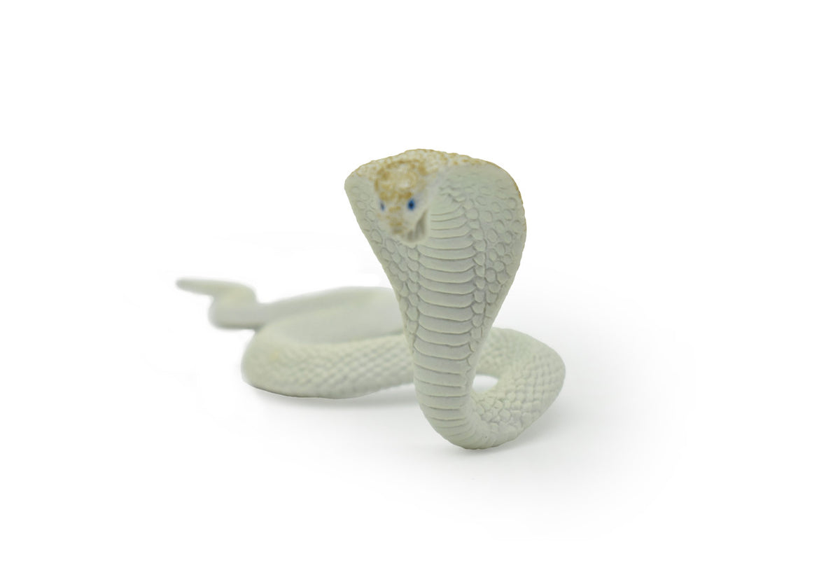 Snake, Cobra, White, Museum Quality, Rubber Reptile, Educational, Realistic Hand Painted, Figure, Lifelike Model, Figurine, Replica, Gift,     7"     F670 B623