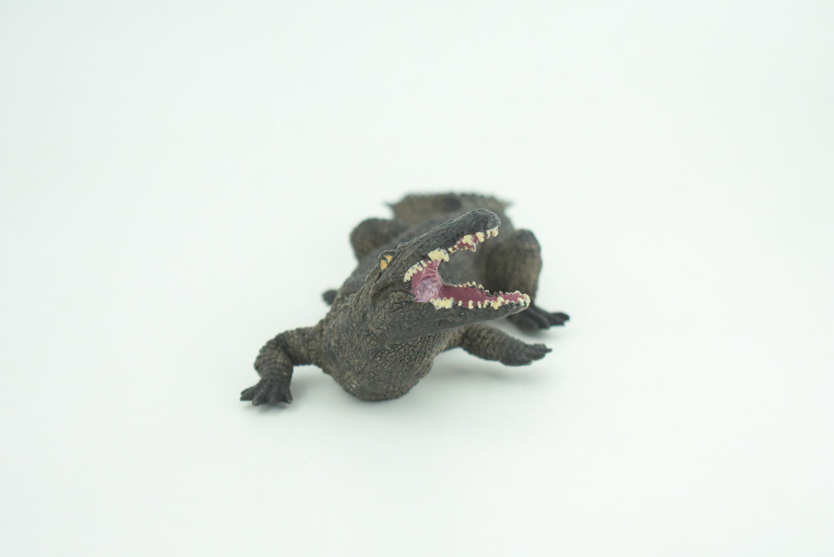 Alligator, American, Hand Painted, Museum Quality, Solid Rubber Crocodile, Reptile, Educational, Realistic, Figure, Toy, Kids, Replica, Gift,   8 Inches.  CH965 BB210