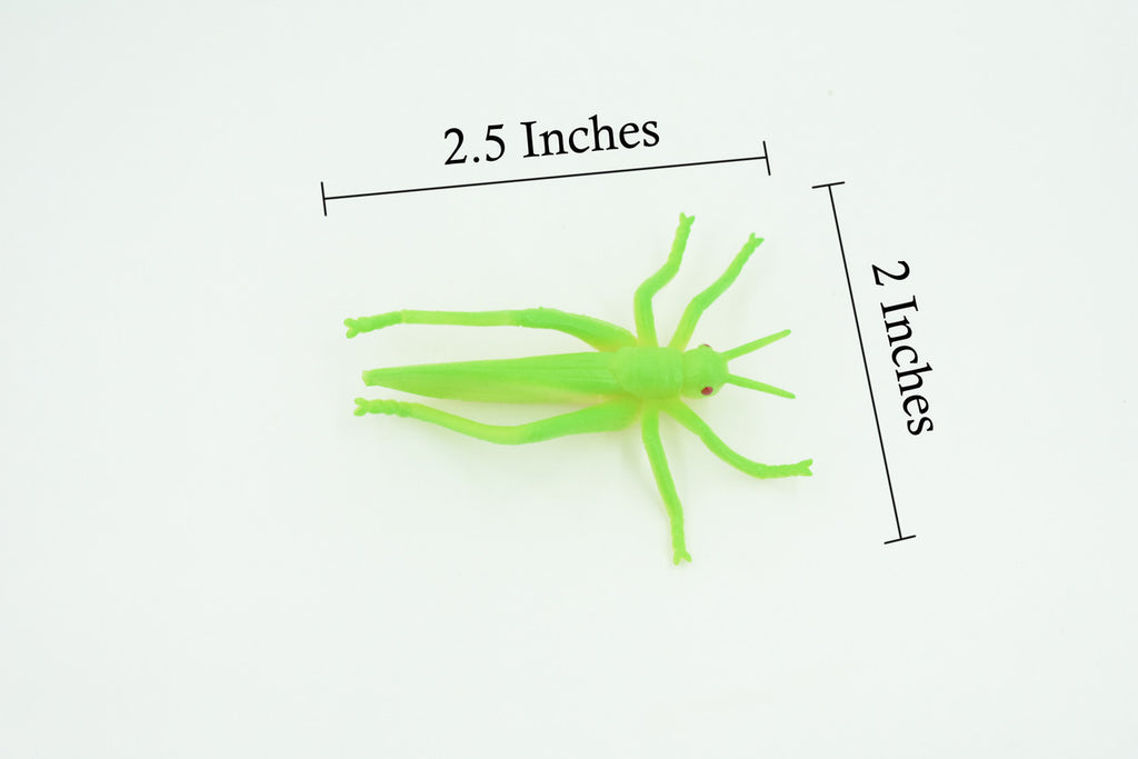 Grasshopper, Very Nice Rubber Insect, Educational, Realistic Hand Painted, Figure, Lifelike Model, Figurine, Replica, Gift,     2 1/2"   US23 B44