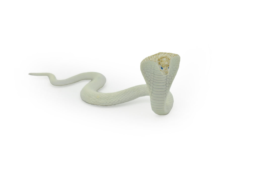 Snake, Cobra, White, Museum Quality, Rubber Reptile, Educational, Realistic Hand Painted, Figure, Lifelike Model, Figurine, Replica, Gift,     7"     F670 B623