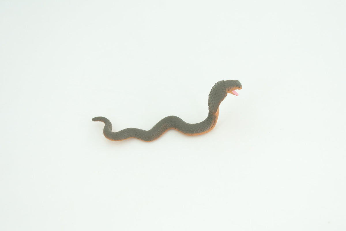 Cobra Snake Life Cycle, 4 Piece Set, Hand Painted, Educational, High Quality Rubber Reptile, Realistic, Diorama, Figure, Toys, Kids, Gift,  6  Inches.   CH986 BB214
