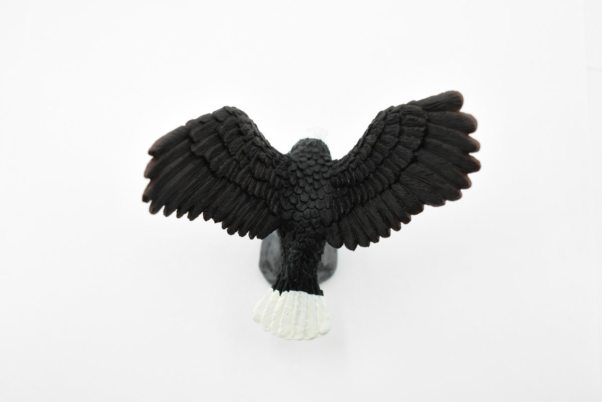 Bald Eagle, North America Eagle, Museum Quality, Rubber Bird, Hand Painted, Realistic Toy Figure, Diorama Model, Kids, Educational,  4 Inches.