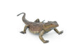 Horned Lizard, Horney Toad, Museum Quality, Hand Painted, Very Realistic Rubber Figure, Reptiles, Bearded Dragon, Educational, Toy, Kids,  5 Inches.  