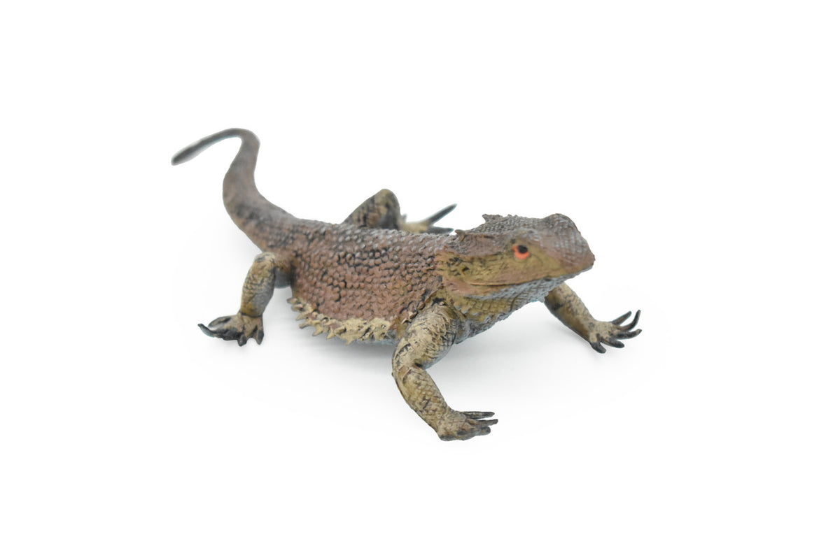 Horned Lizard, Horney Toad, Museum Quality, Hand Painted, Very Realistic Rubber Figure, Reptiles, Bearded Dragon, Educational, Toy, Kids,  5 Inches.  