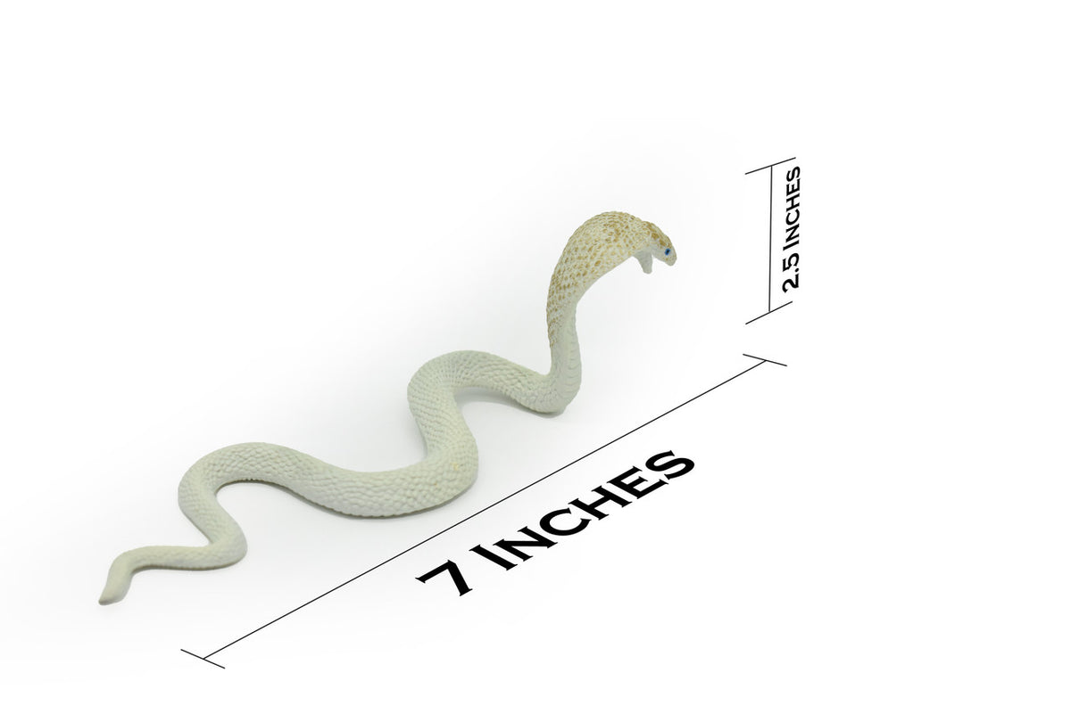 Snake, Cobra, White, Museum Quality, Rubber Reptile, Educational, Realistic Hand Painted, Figure, Lifelike Model, Figurine, Replica, Gift,     7"     F670 B623