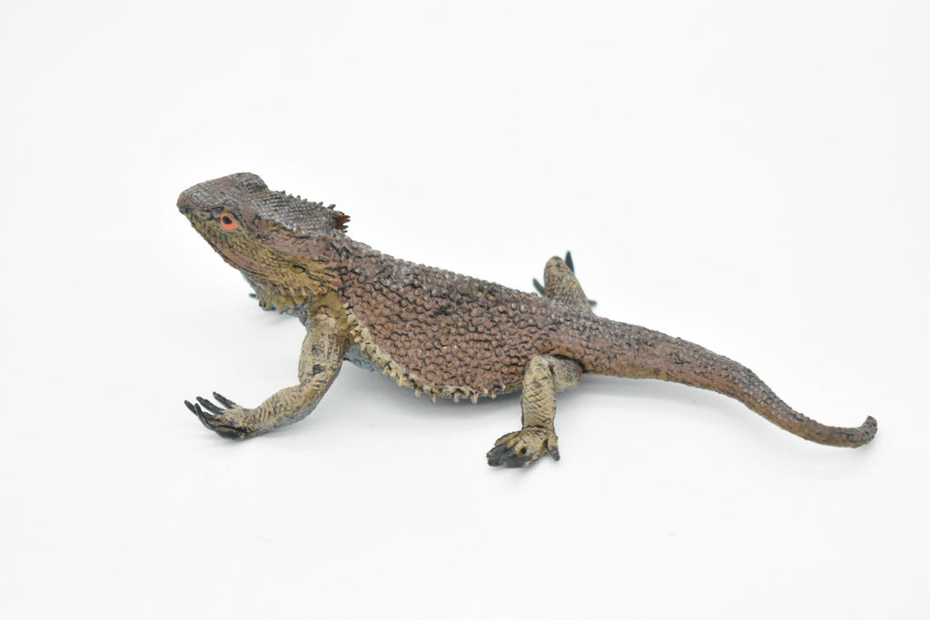 Horned Lizard, Horney Toad, Museum Quality, Hand Painted, Very Realistic Rubber Figure, Reptiles, Bearded Dragon, Educational, Toy, Kids, Gift,   5 Inches,    CH046 BB76