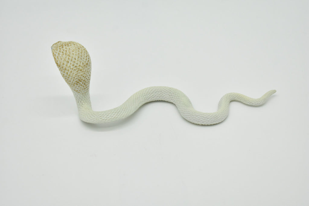 Snake, Cobra, White, Museum Quality, Rubber Reptile, Educational, Realistic Hand Painted, Figure, Lifelike Model, Figurine, Replica, Gift,     7"     F670 B623