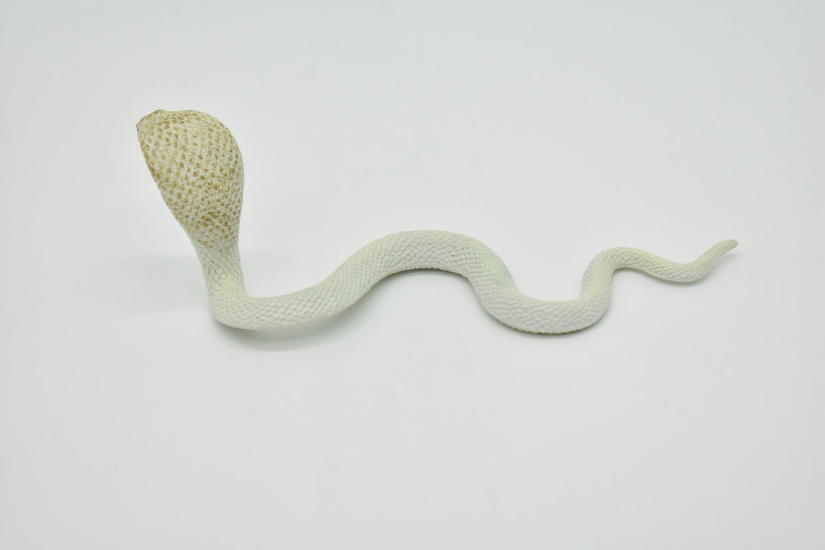Snake, Cobra, White, Museum Quality, Rubber Reptile, Educational, Realistic Hand Painted, Figure, Lifelike Model, Figurine, Replica, Gift,     7"     F670 B623