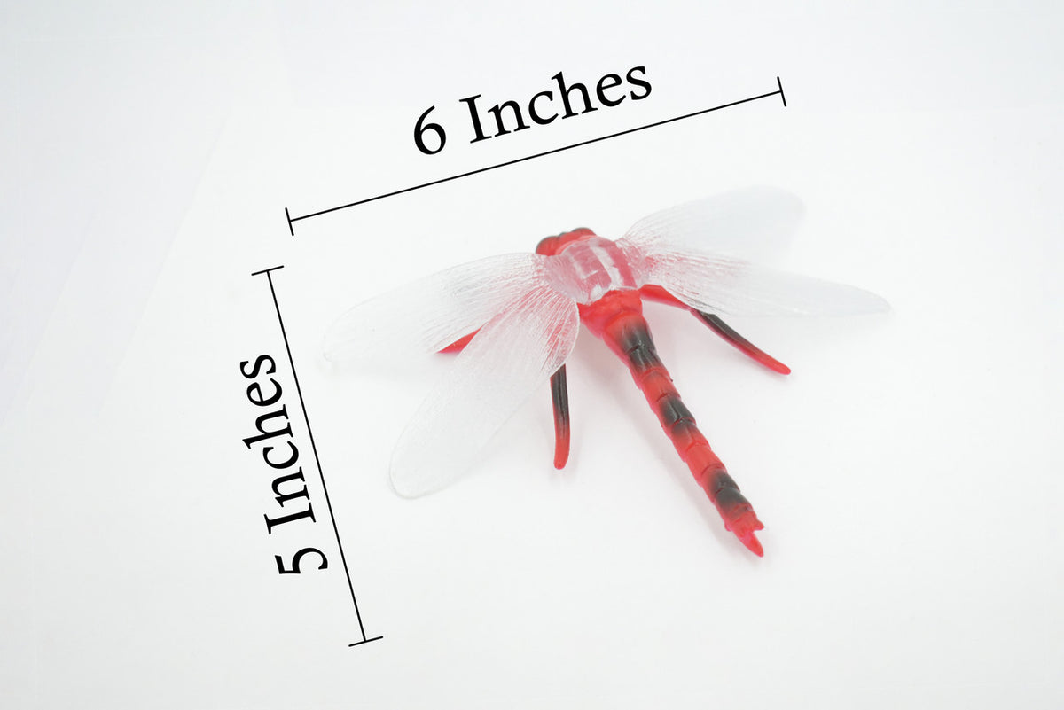Dragon Fly, Red-veined Darter Dragonfly, Rubber Insect, Educational, Toy, Kids, Realistic Figure, Lifelike Model, Figurine, Replica, Gift,