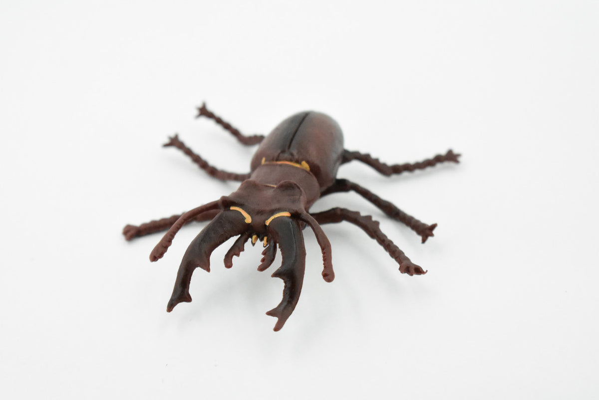 Stag, Beetle, Museum Quality, Hand Painted, Educational, Realistic Insect, Toy Figure, Diorama Model, Replica, Kids,  Gift,     3 Inches.    CH456 BB114