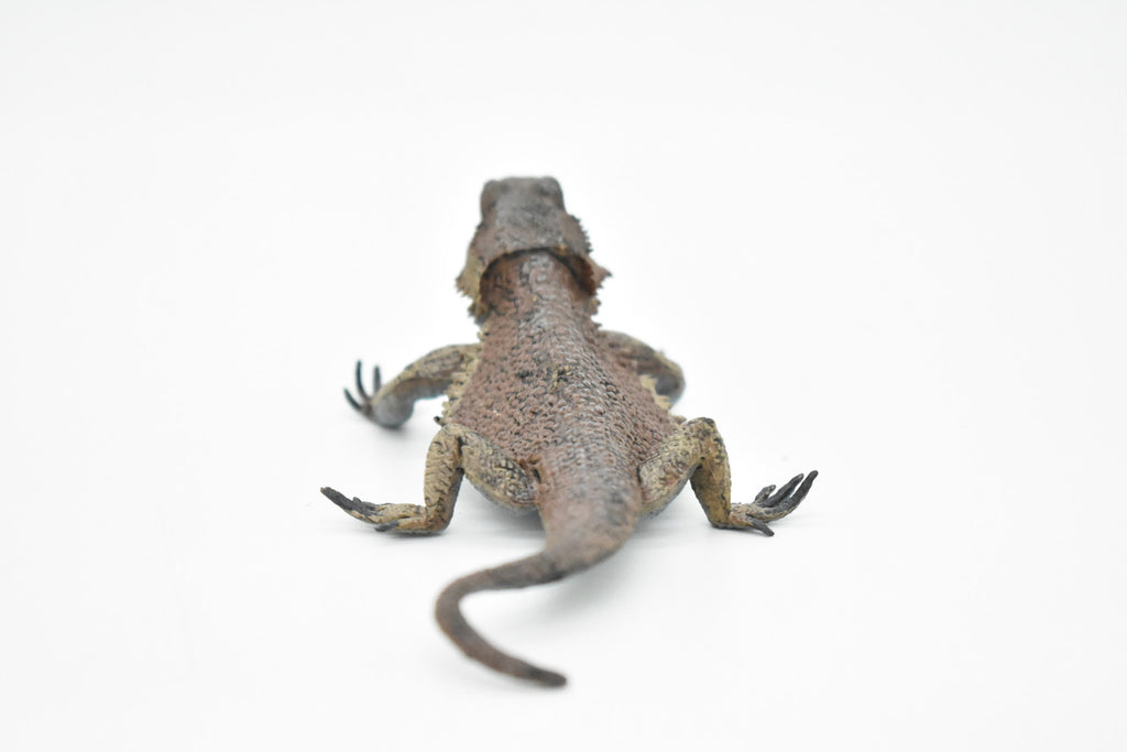 Horned Lizard, Horney Toad, Museum Quality, Hand Painted, Very Realistic Rubber Figure, Reptiles, Bearded Dragon, Educational, Toy, Kids, Gift,   5 Inches,    CH046 BB76