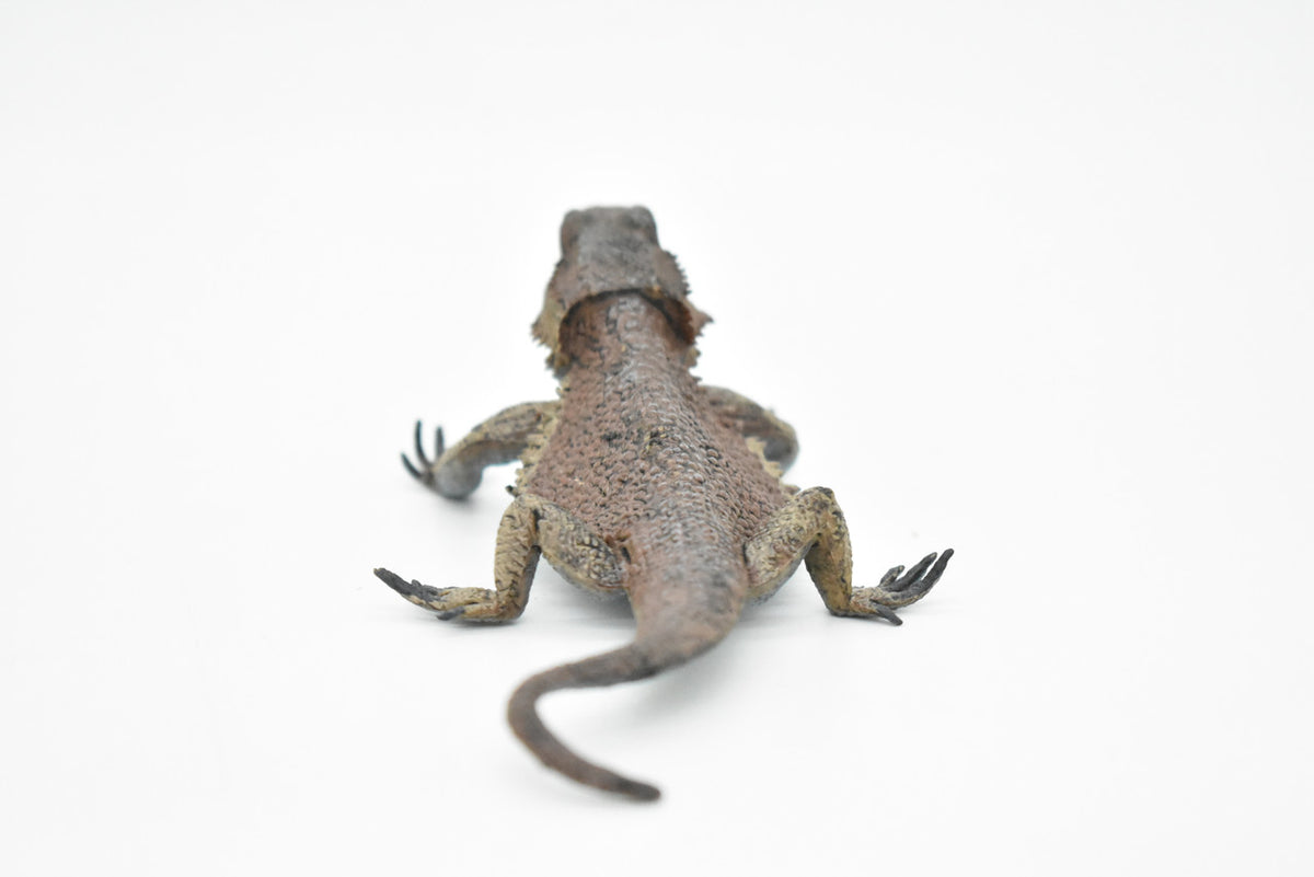 Horned Lizard, Horney Toad, Museum Quality, Hand Painted, Very Realistic Rubber Figure, Reptiles, Bearded Dragon, Educational, Toy, Kids, Gift,   5 Inches,    CH046 BB76