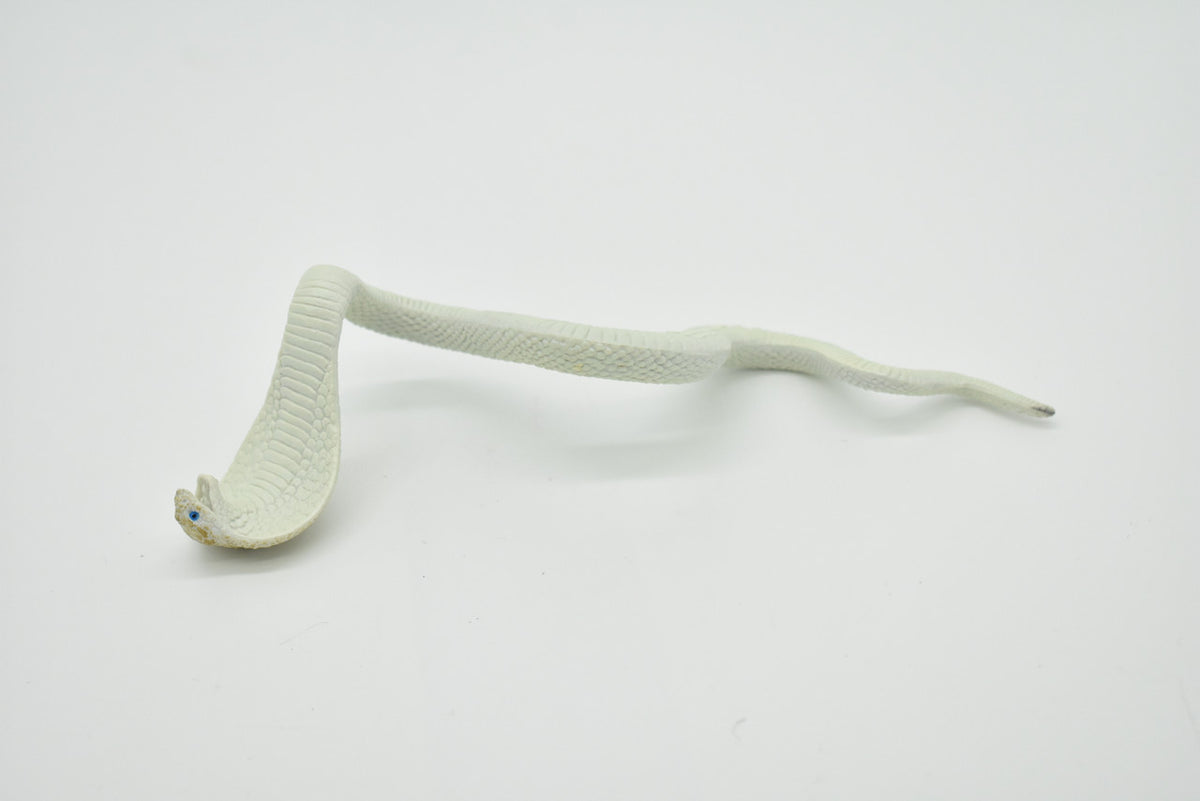 Snake, Cobra, White, Museum Quality, Rubber Reptile, Educational, Realistic Hand Painted, Figure, Lifelike Model, Figurine, Replica, Gift,     7"     F670 B623