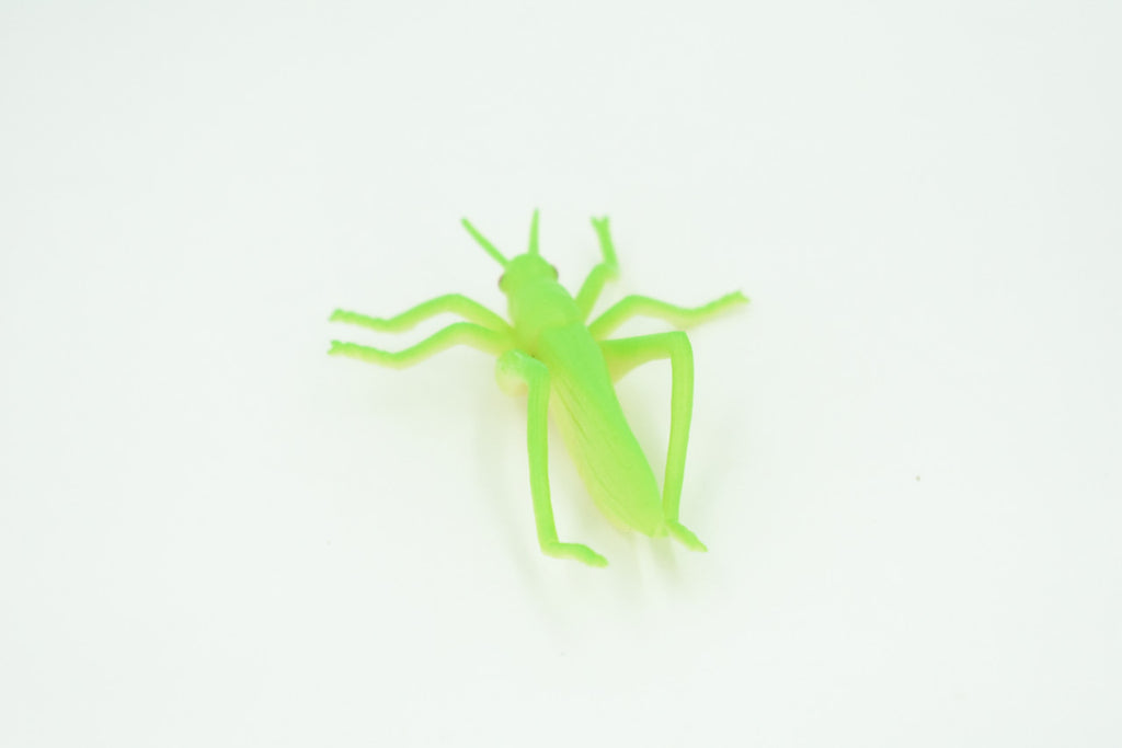 Grasshopper, Very Nice Rubber Insect, Educational, Realistic Hand Painted, Figure, Lifelike Model, Figurine, Replica, Gift,     2 1/2"   US23 B44