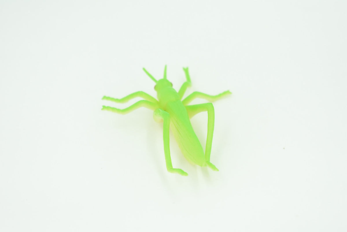 Grasshopper, Very Nice Rubber Insect, Educational, Realistic Hand Painted, Figure, Lifelike Model, Figurine, Replica, Gift,     2 1/2"   US23 B44