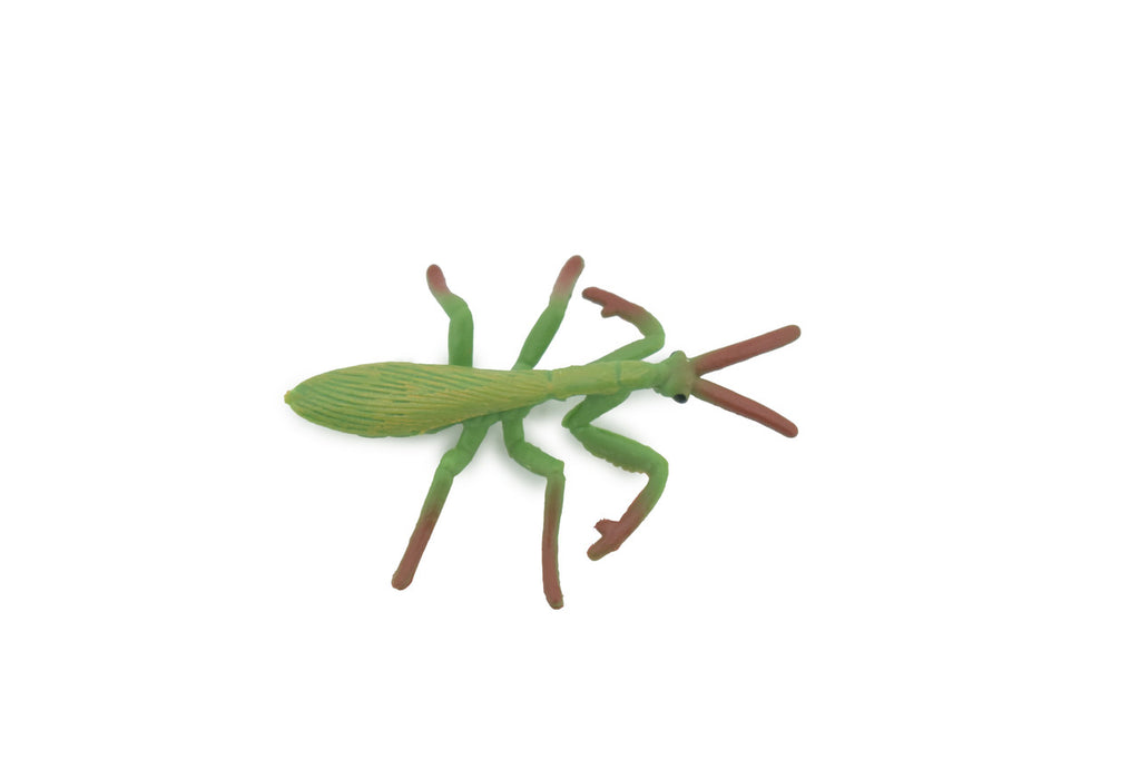 Praying Mantis, Mantidae, High Quality, Hand Painted, Rubber Insect, Realistic, Toy Figure, Model, Replica, Kids, Educational, Gift,       2 1/2"      CH697 BB174
