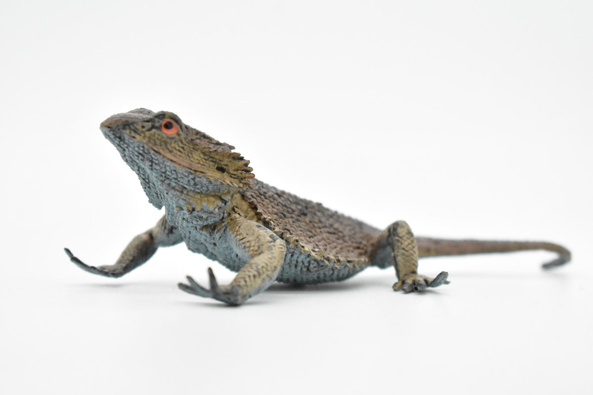 Horned Lizard, Horney Toad, Museum Quality, Hand Painted, Very Realistic Rubber Figure, Reptiles, Bearded Dragon, Educational, Toy, Kids,  5 Inches.  