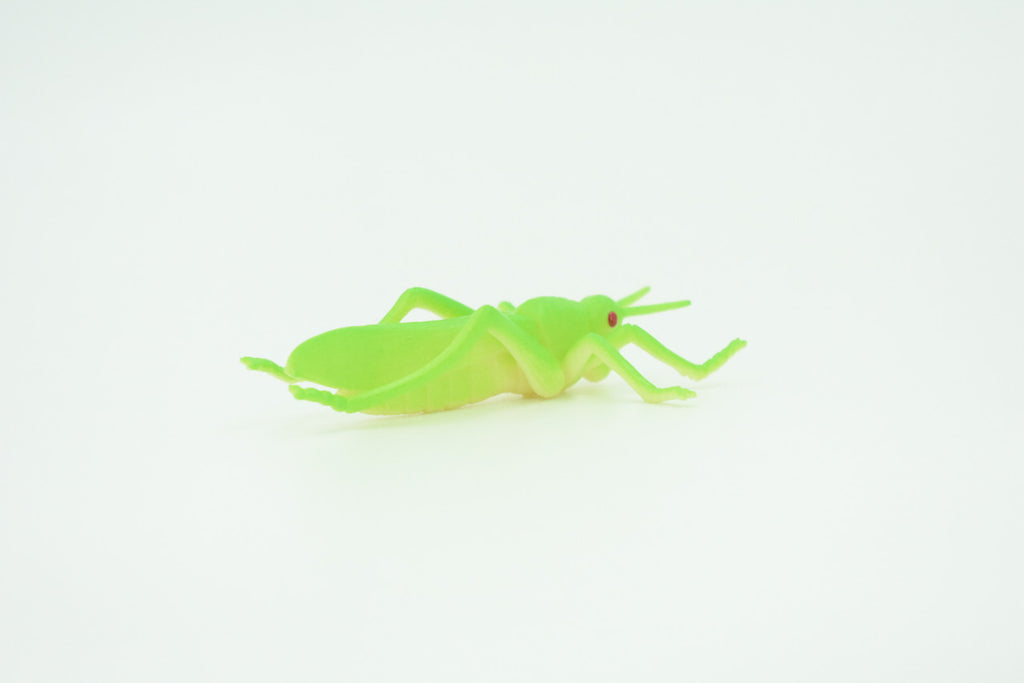 Grasshopper, Very Nice Rubber Insect, Educational, Realistic Hand Painted, Figure, Lifelike Model, Figurine, Replica, Gift,     2 1/2"   US23 B44