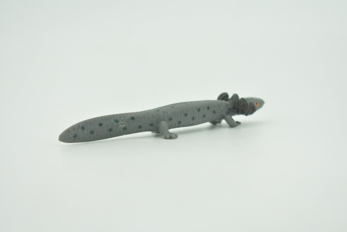 Salamander, Gray, Amphibian, Axolotl, Water Dog,  High Quality, Hand Painted, Hard Rubber, Realistic, Figure, Model, Toy, Kids, Educational, Gift,   3 1/4"   CH294 BB179