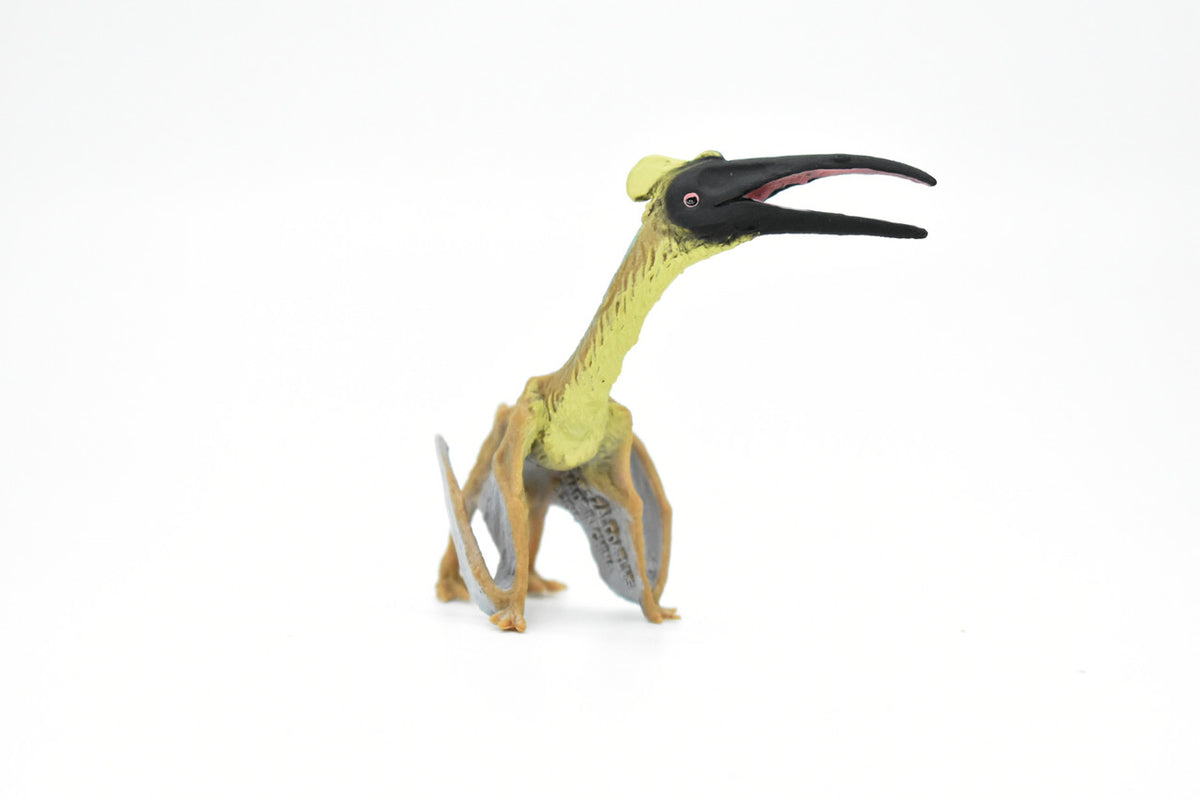 Quetzalcoatlus Dinosaur, Museum Quality, Animal, Educational, Realistic Hand Painted, Figure, Lifelike Model, Vintage Replica, Toy, Gift,    3 Inches.    F8103 B117