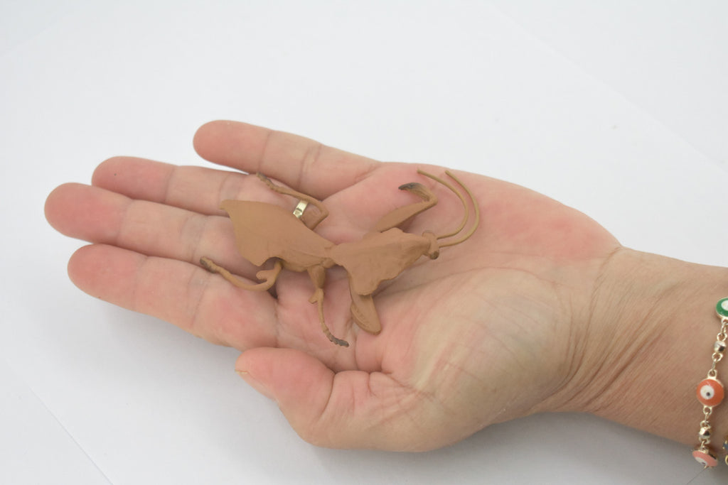 Praying Mantis, Deroplatys, Dead leaf mantis, High Quality, Rubber Insect, Educational, Realistic, Figure, Replica, Toy, Kids, Educational, Gift,      3"     CH639 BB168