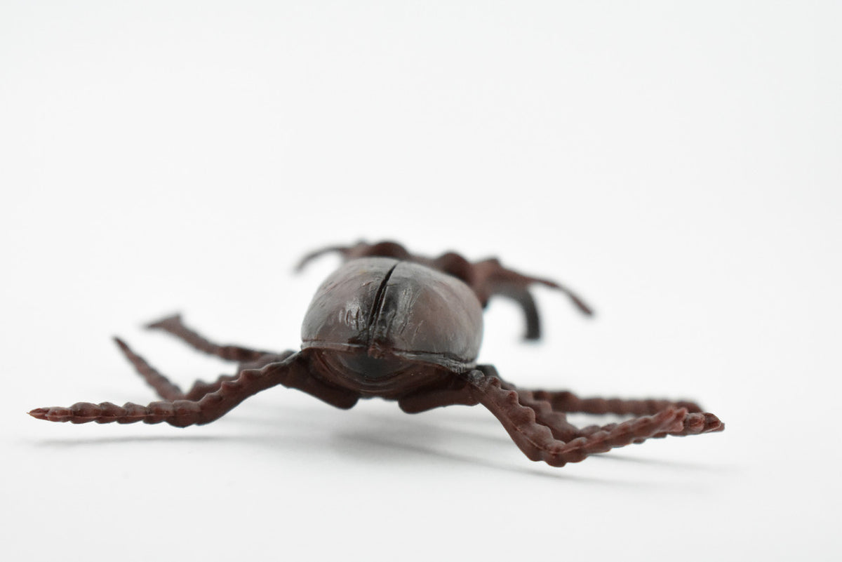 Stag, Beetle, Museum Quality, Hand Painted, Educational, Realistic Insect, Toy Figure, Diorama Model, Replica, Kids,  Gift,     3 Inches.    CH456 BB114