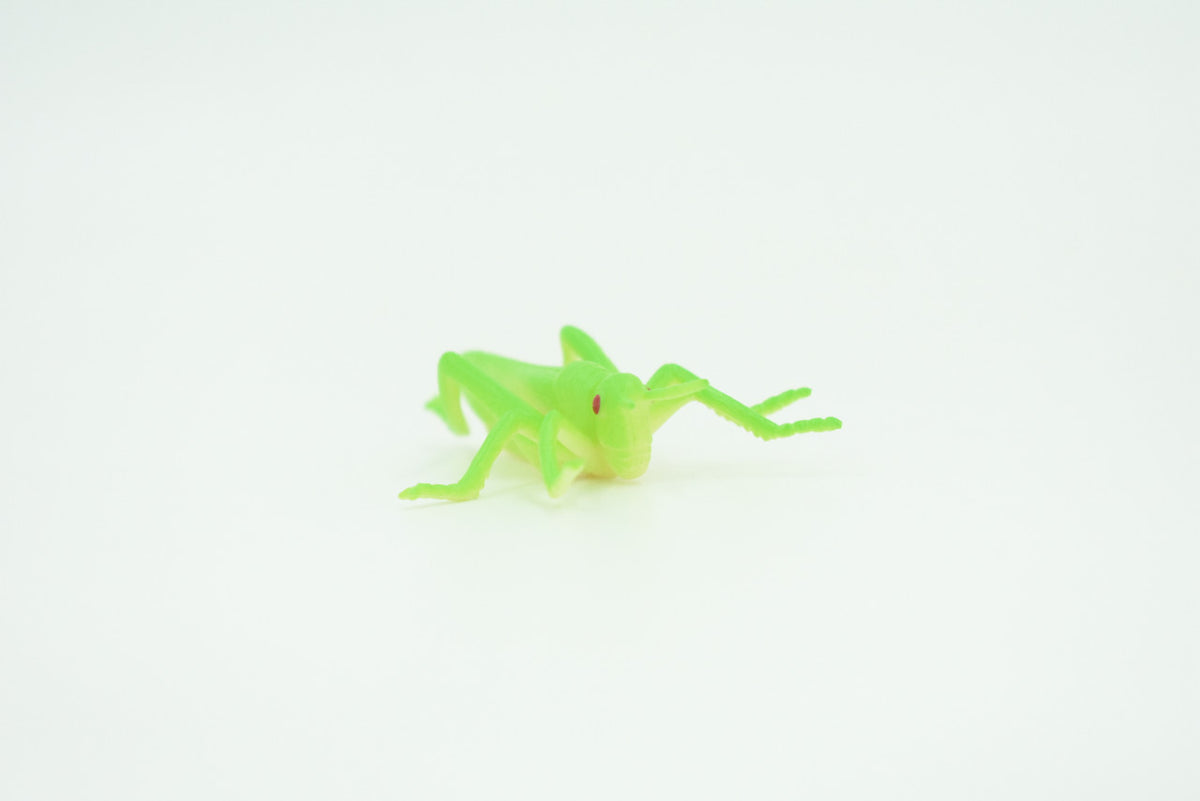Grasshopper, Very Nice Rubber Insect, Educational, Realistic Hand Painted, Figure, Lifelike Model, Figurine, Replica, Gift,     2 1/2"   US23 B44