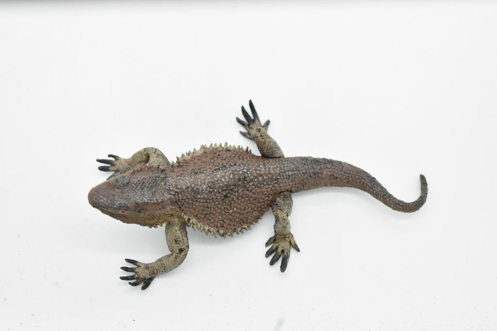 Horned Lizard, Horney Toad, Museum Quality, Hand Painted, Very Realistic Rubber Figure, Reptiles, Bearded Dragon, Educational, Toy, Kids, Gift,   5 Inches,    CH046 BB76