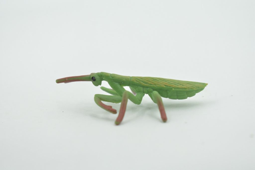 Praying Mantis, Mantidae, High Quality, Hand Painted, Rubber Insect, Realistic, Toy Figure, Model, Replica, Kids, Educational, Gift,       2 1/2"      CH697 BB174