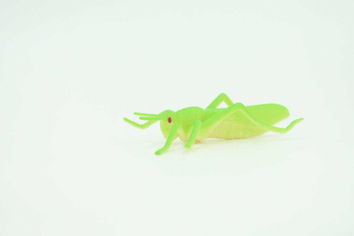 Grasshopper, Very Nice Rubber Insect, Educational, Realistic Hand Painted, Figure, Lifelike Model, Figurine, Replica, Gift,     2 1/2"   US23 B44